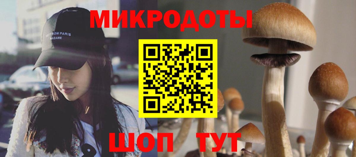 Гусев  Псилоцибиновые грибы мицелий  Вход с VPN 